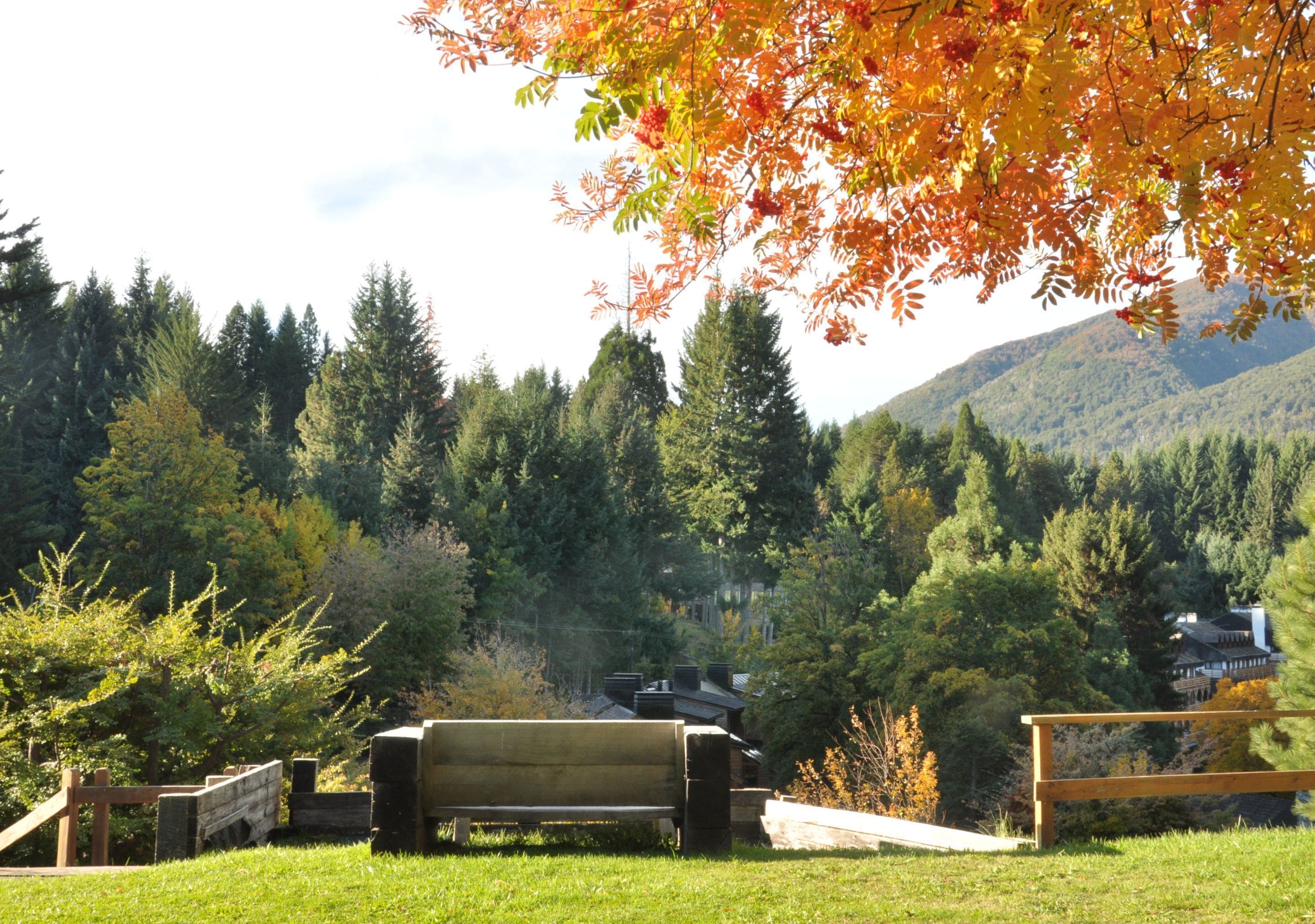 A park with a bench, a wooden fence, and a building in the background.