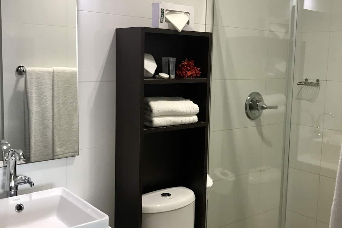 shower, free toiletries, hair dryer, towels