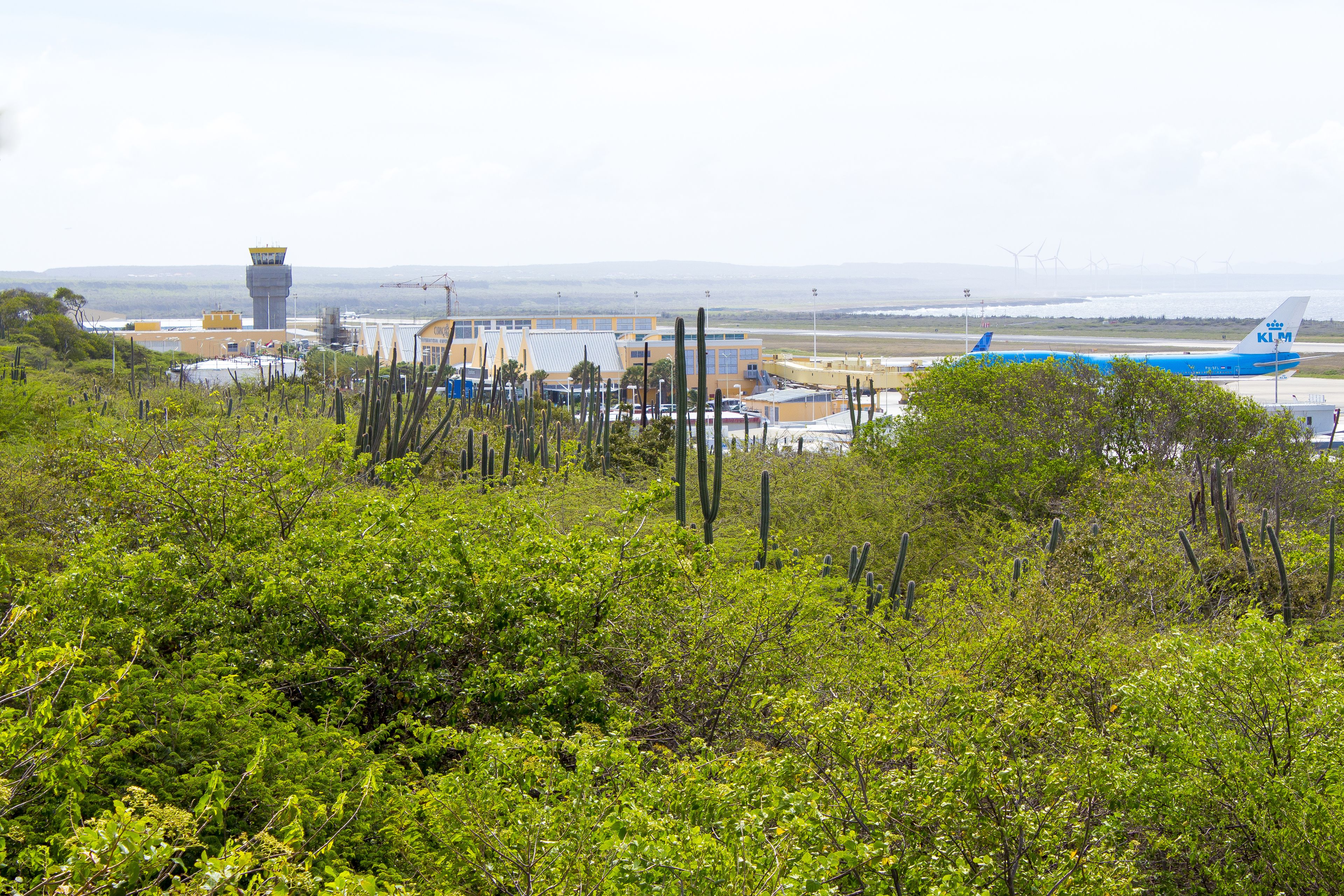 Vista de un aeropuerto con una torre de control, edificios del aeropuerto y un avión azul en la plataforma.