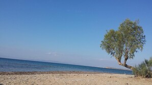 A beach with a single tree, clear sky, and calm sea. - Akrogiali Hotel (Agistri)