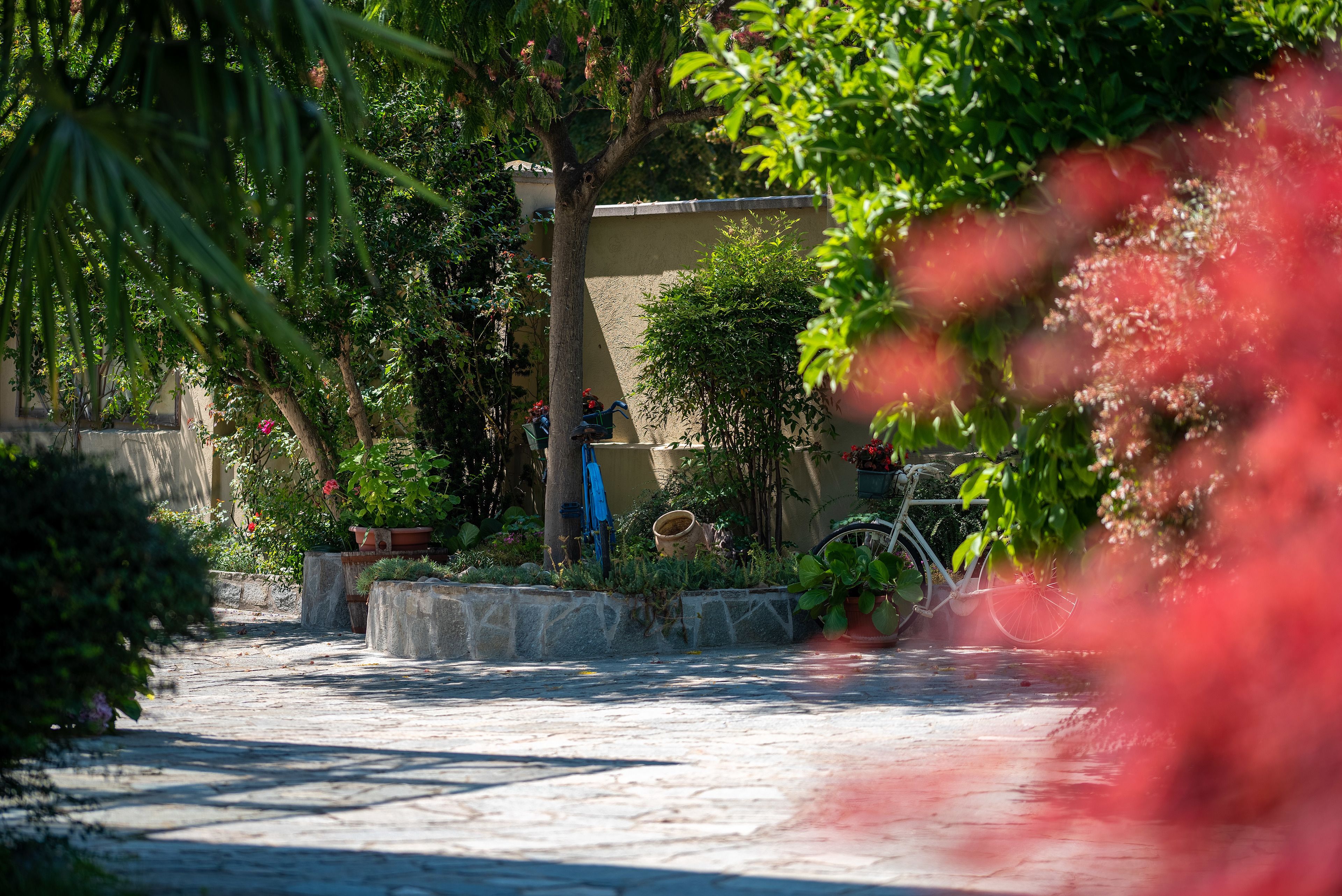 Un patio empedrado con un banco de piedra, una bicicleta y plantas en macetas.