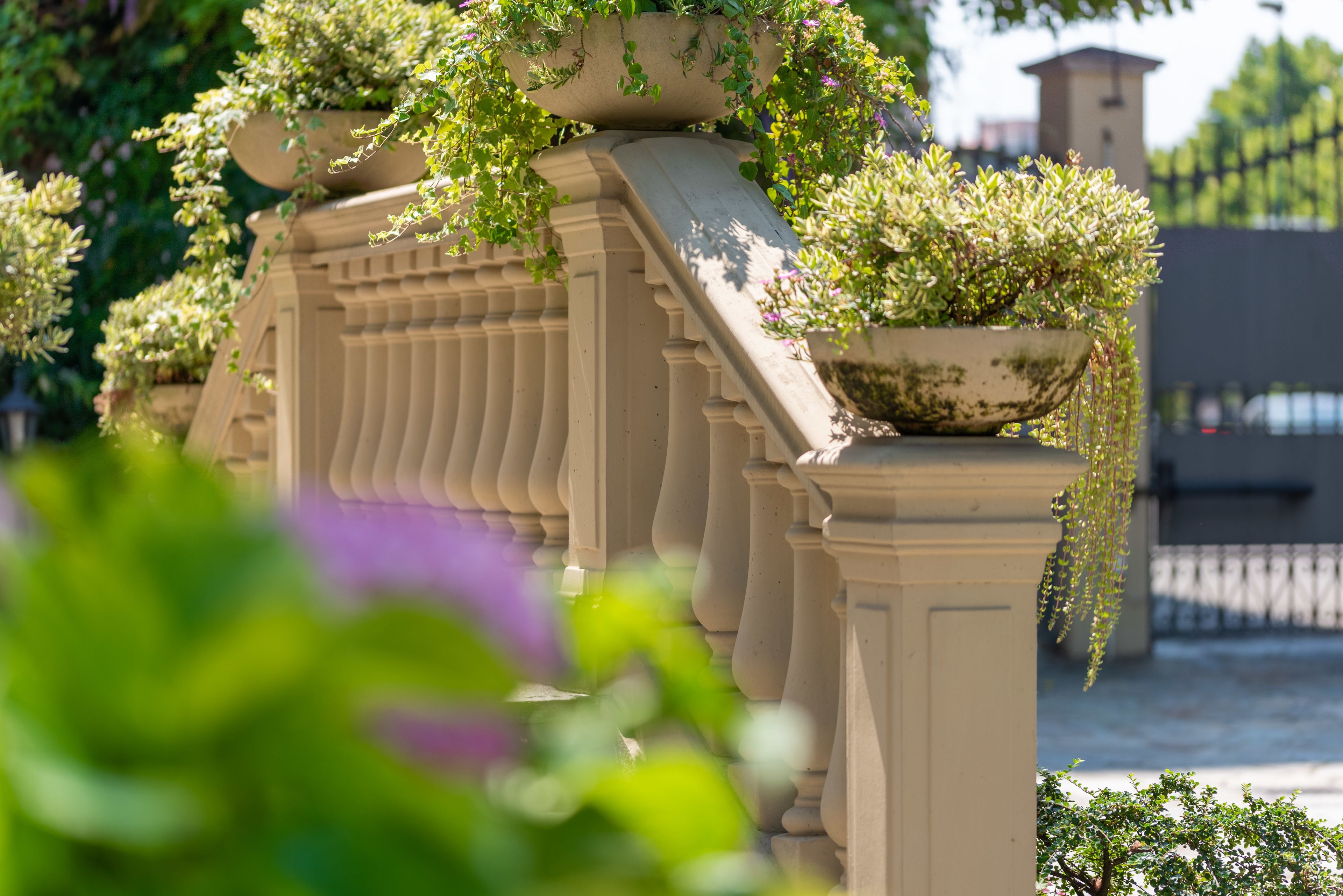 Un jardin agrémenté d’une balustrade classique et d’un grand bac planté d’arbustes verts.