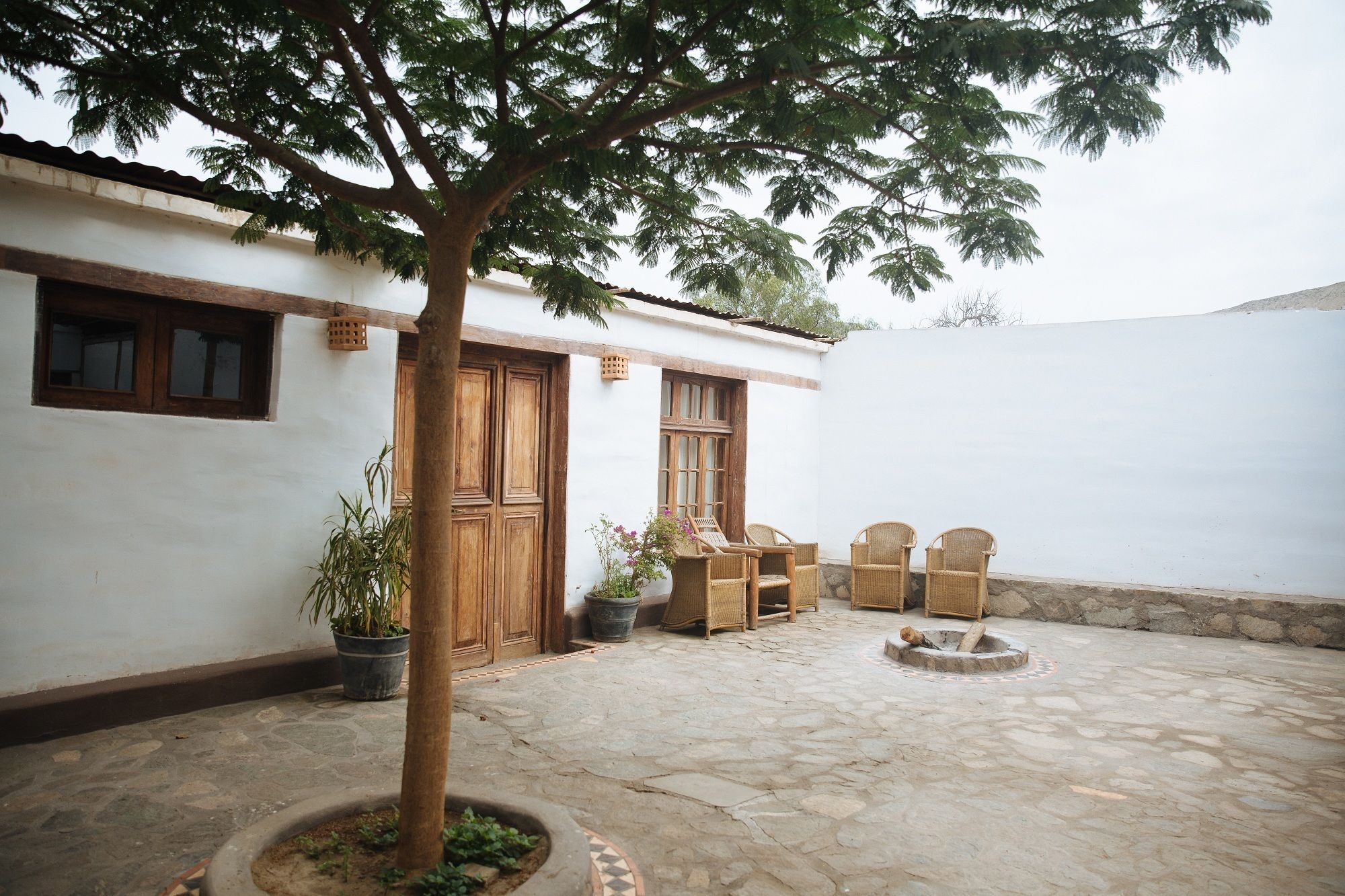 A courtyard with a tree, a wooden door, and wicker furniture.