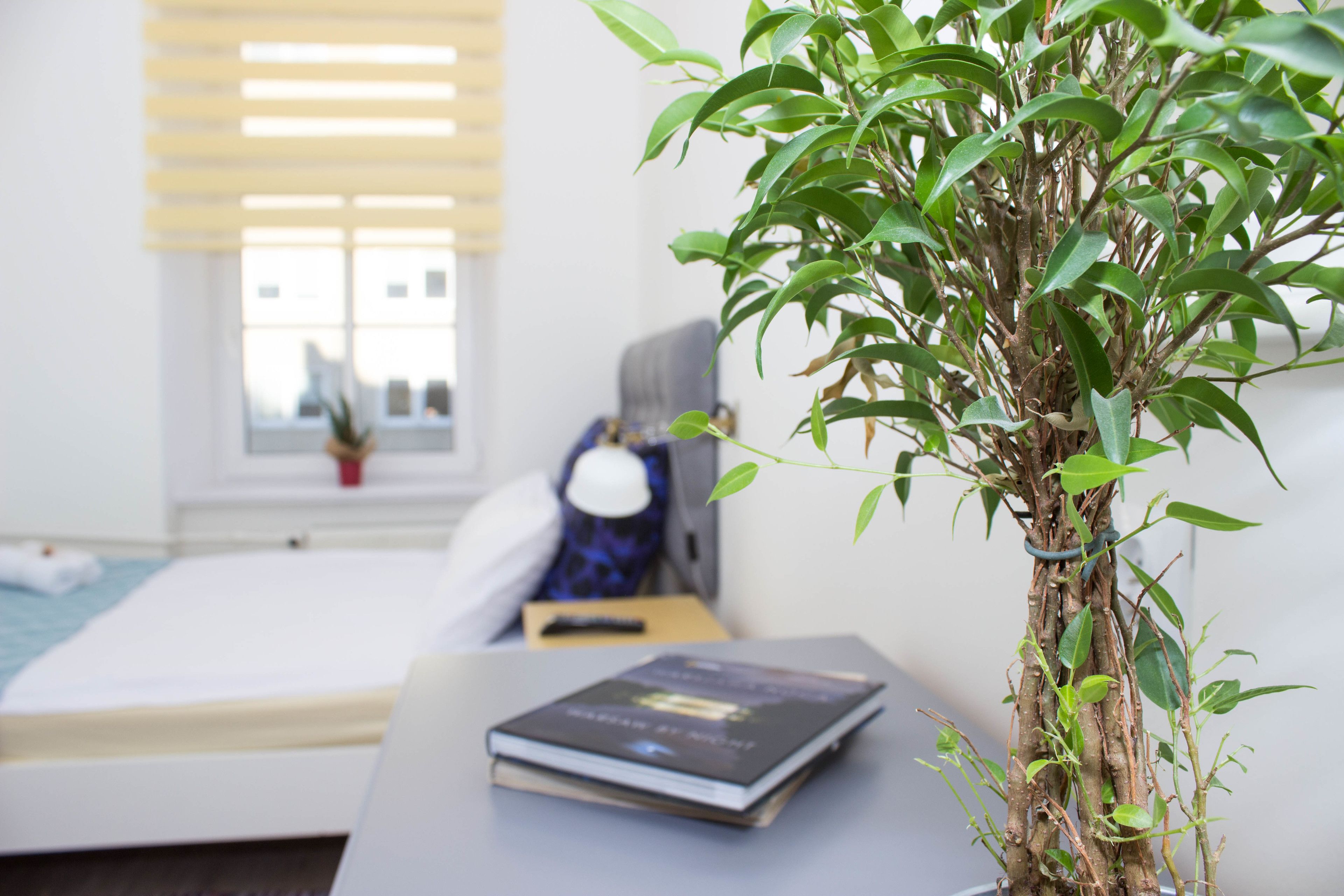 A room with a bed, a desk with a book, a potted plant, and a window with blinds.