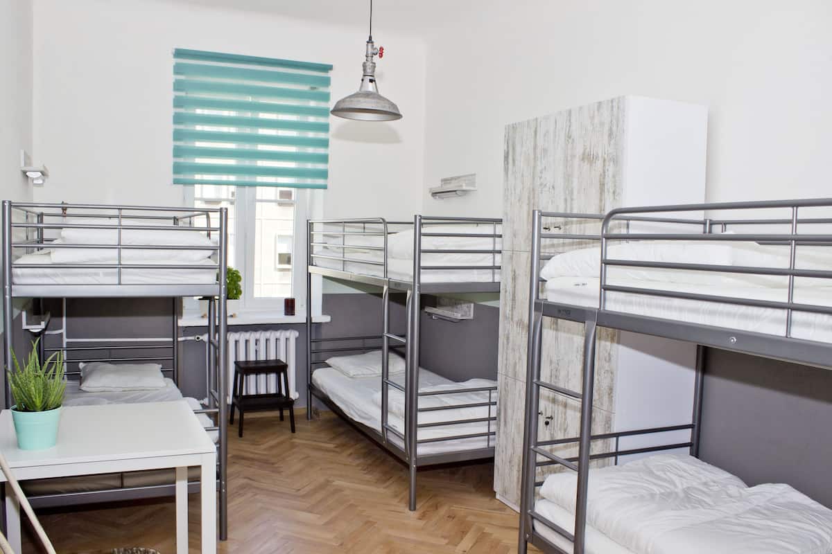 Slaapzaal, gedeelde badkamer (1 bed in 6 people room) | Een kluis op de kamer, een strijkplank/strijkijzer, gratis wifi