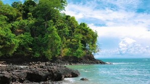 Ein Strand mit felsiger Küstenlinie und dichter grüner Vegetation.