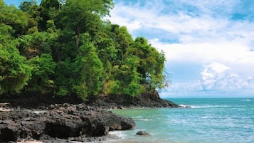 On the beach, free beach shuttle