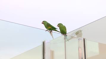 Two green parrots perched on a glass railing.