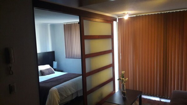 Standard Apartment | In-room safe, iron/ironing board, free WiFi - Plaza Apartment (Santiago)