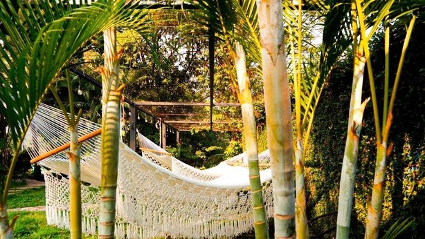 A hammock in a lush garden with bamboo trees. - Hotel Alma Azul (El Cuco)