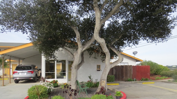 A building with a covered parking area, a tree, and a car parked inside. - Laguna Lodge (Marina)