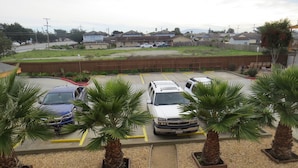 A parking lot with several cars, palm trees, and a clear sky. - Laguna Lodge (Marina)