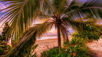 On the beach, sun-loungers, beach umbrellas, beach towels