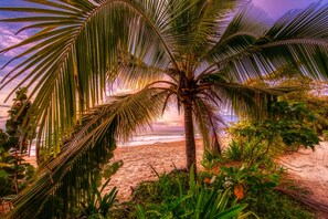 On the beach, sun-loungers, beach umbrellas, beach towels - Oasis Bluff Beach (Bocas del Toro)