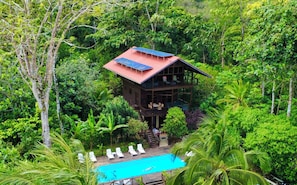 A wooden building with a red roof and solar panels, surrounded by lush greenery and a swimming pool with lounge chairs. - Oasis Bluff Beach (Bocas del Toro)