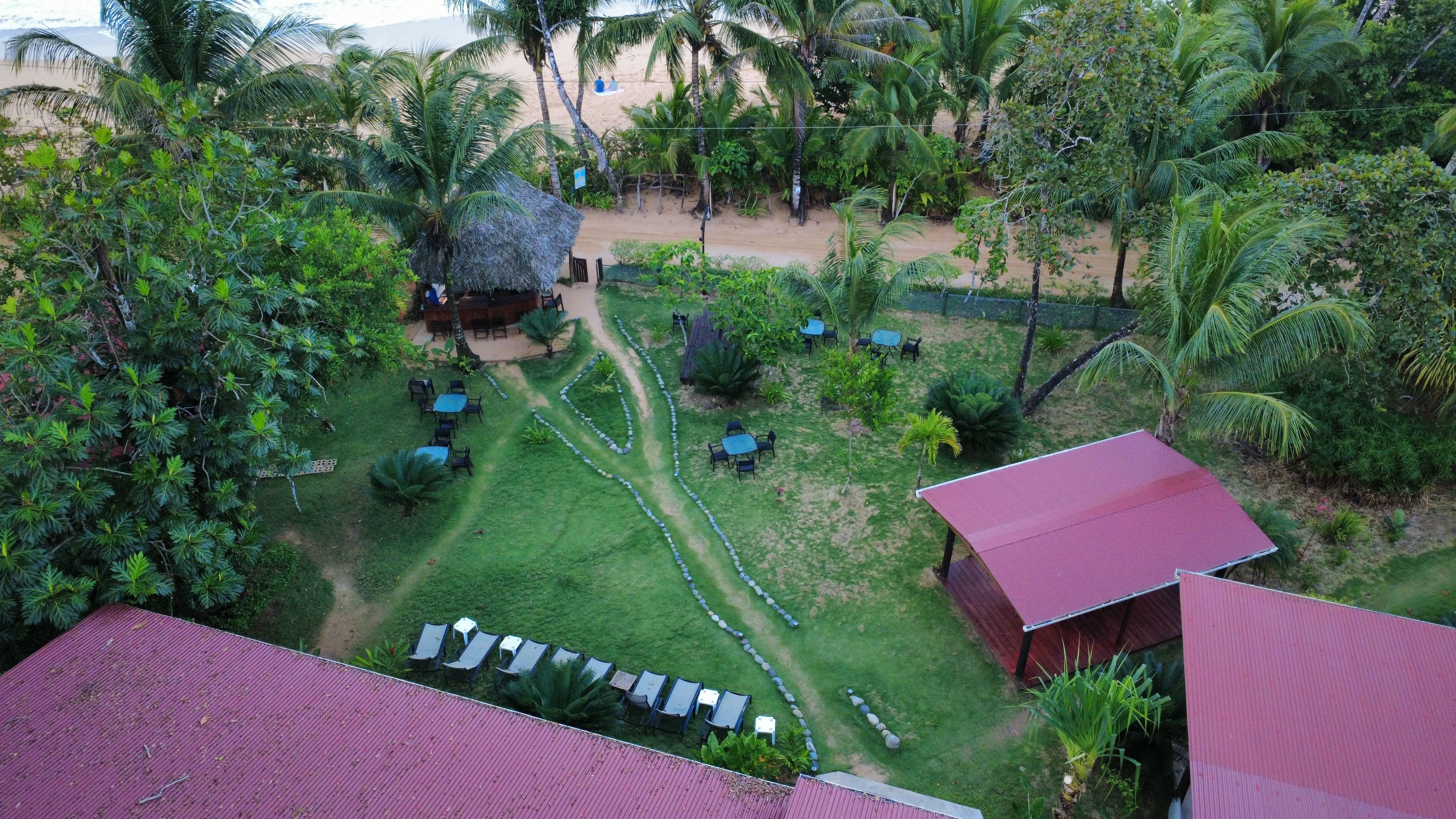Un resort tropical con una cabaña de techo de paja, mobiliario exterior y exuberante vegetación.