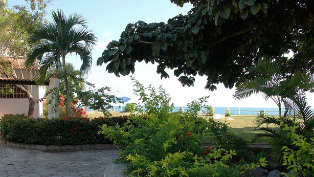A paved courtyard with a palm tree, a building with a tiled roof, and a view of the sea.