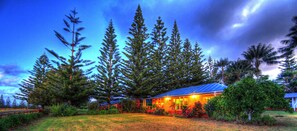 Exterior - Trade Winds Country Cottages (Norfolk Island)