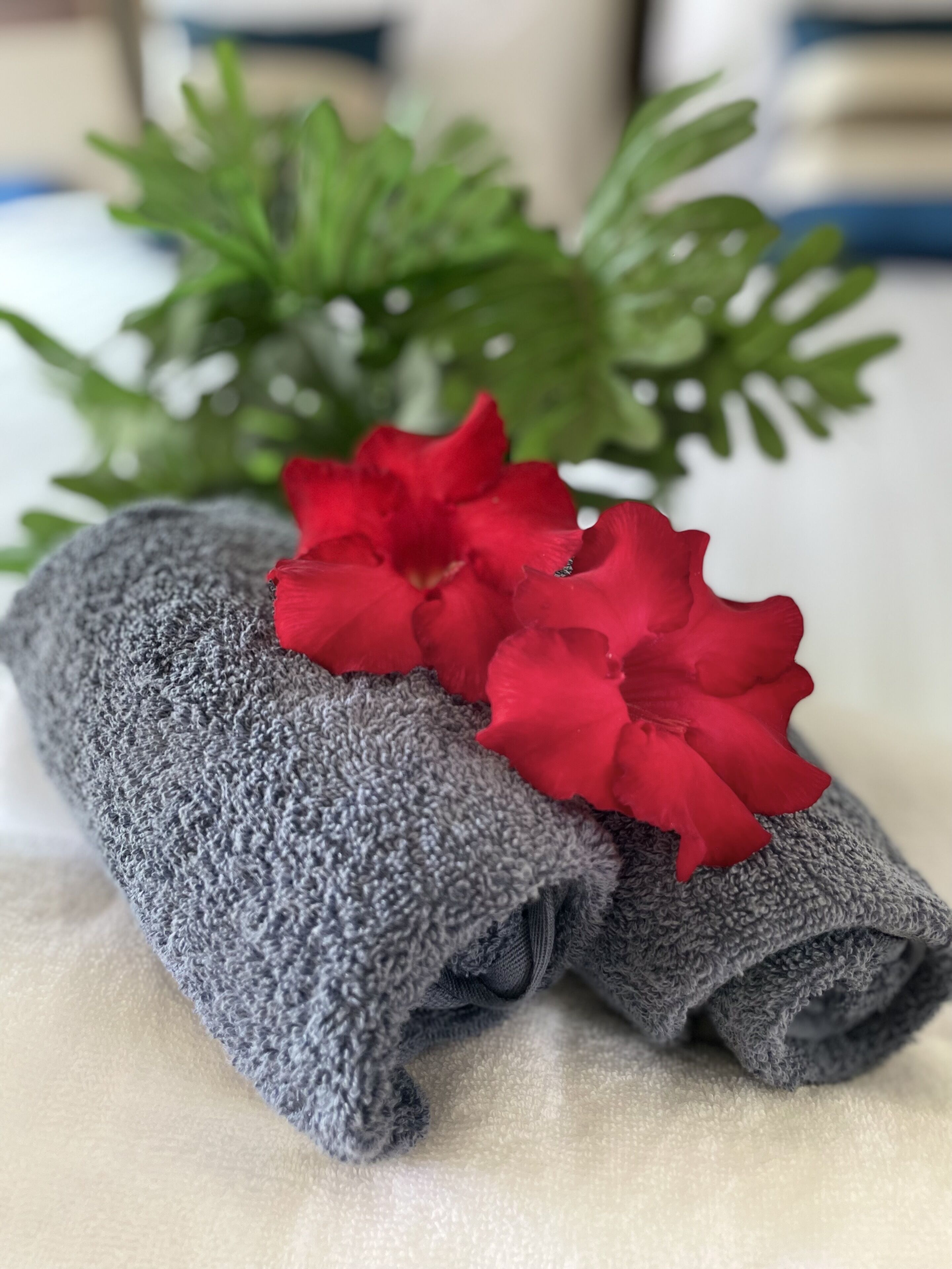 deluxe twin room | living area | flat-screen tv