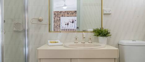 A bathroom with a glass shower enclosure, a beige vanity with a sink, a mirror, and a small potted plant.