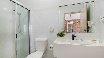 A modern bathroom with a glass-enclosed shower, a white toilet, a sink with a mirror above it, and a small potted plant on the sink.