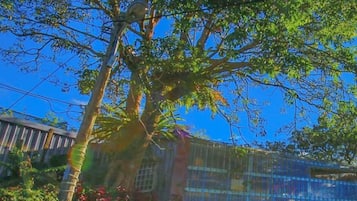 Explore the surroundings with a well-maintained tree and a signpost offering directions to nearby locations.