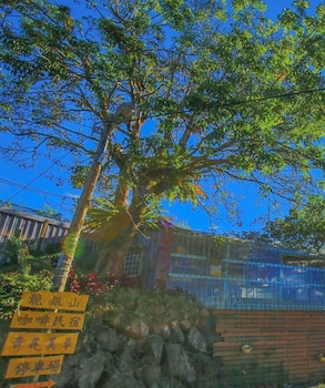 阿里山初日民宿