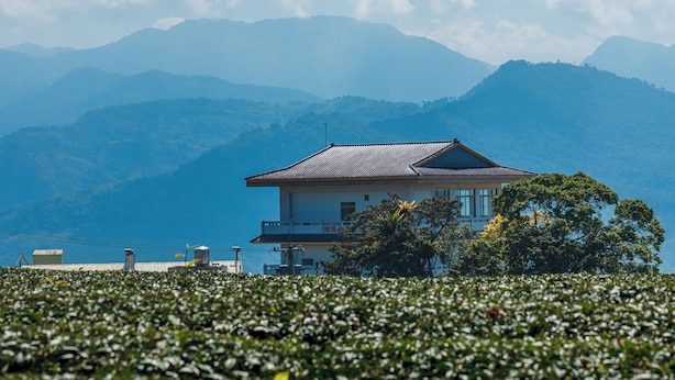 Una casa tradicional japonesa con techo de tejas, rodeada de exuberante vegetación y montañas al fondo.