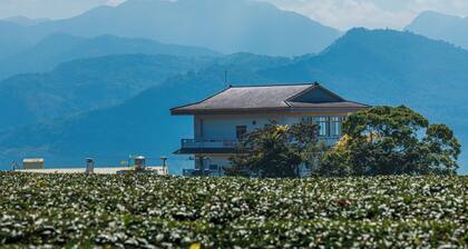 Seeking - Alishan Sunrise