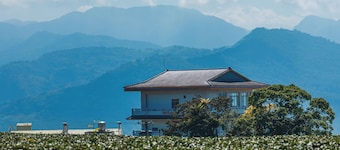 Seeking - Alishan Sunrise