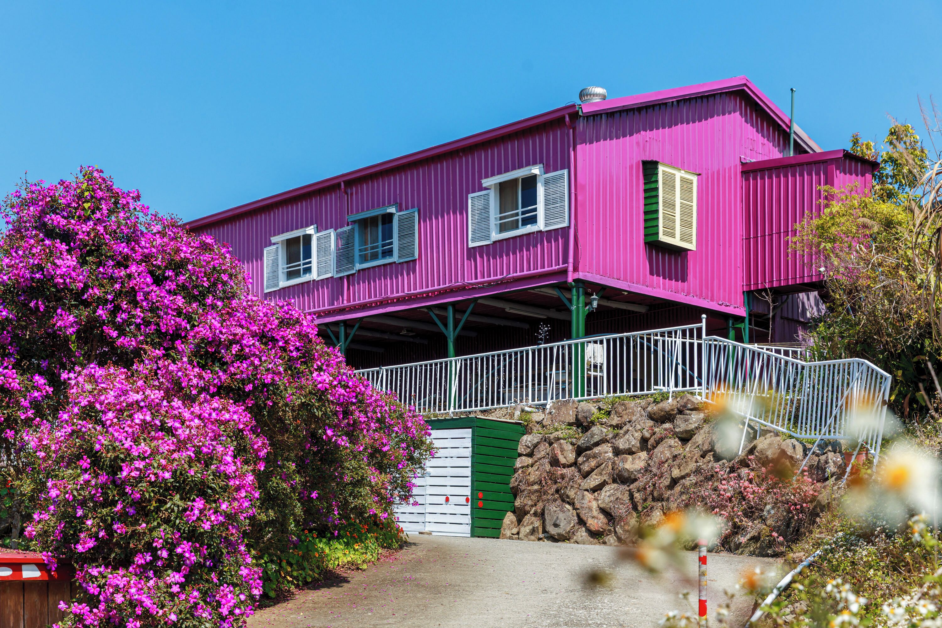 A pink building with a green door, surrounded by pink flowers and greenery.