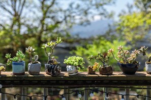 Exterior - Seeking - Alishan Sunrise (Fanlu)