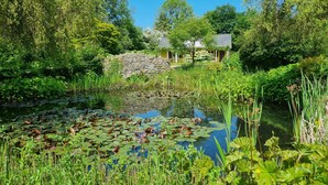 A serene pond surrounded by lush greenery and stone walls, with a small building in the background.