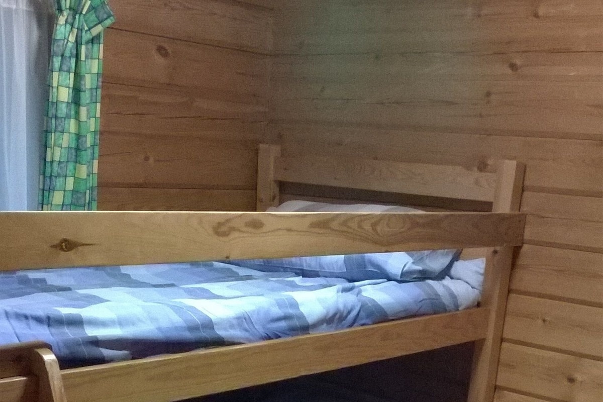 A bunk bed with a ladder, a small desk, and a dresser in a wooden room.