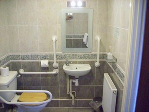 A bathroom with a toilet, bidet, sink, and mirror.