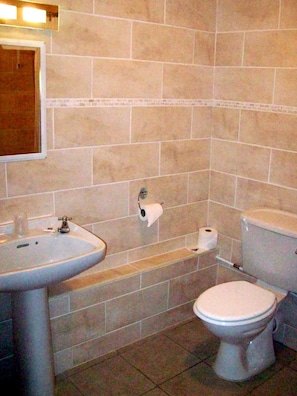 A bathroom with a sink, toilet, and two rolls of toilet paper on the wall. - The Fountain Inn (Lydney)