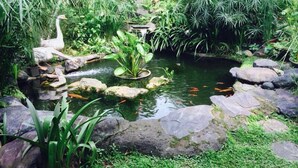 A serene pond with rocks and water plants, surrounded by lush greenery. - The Garden Family Guest House (Ciawi)