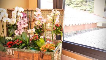 A window view of a garden with various flowers and plants.
