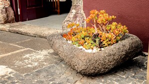 A stone planter with succulents against a building wall. - Hotel Solar do Bom Jesus (Santa Cruz)