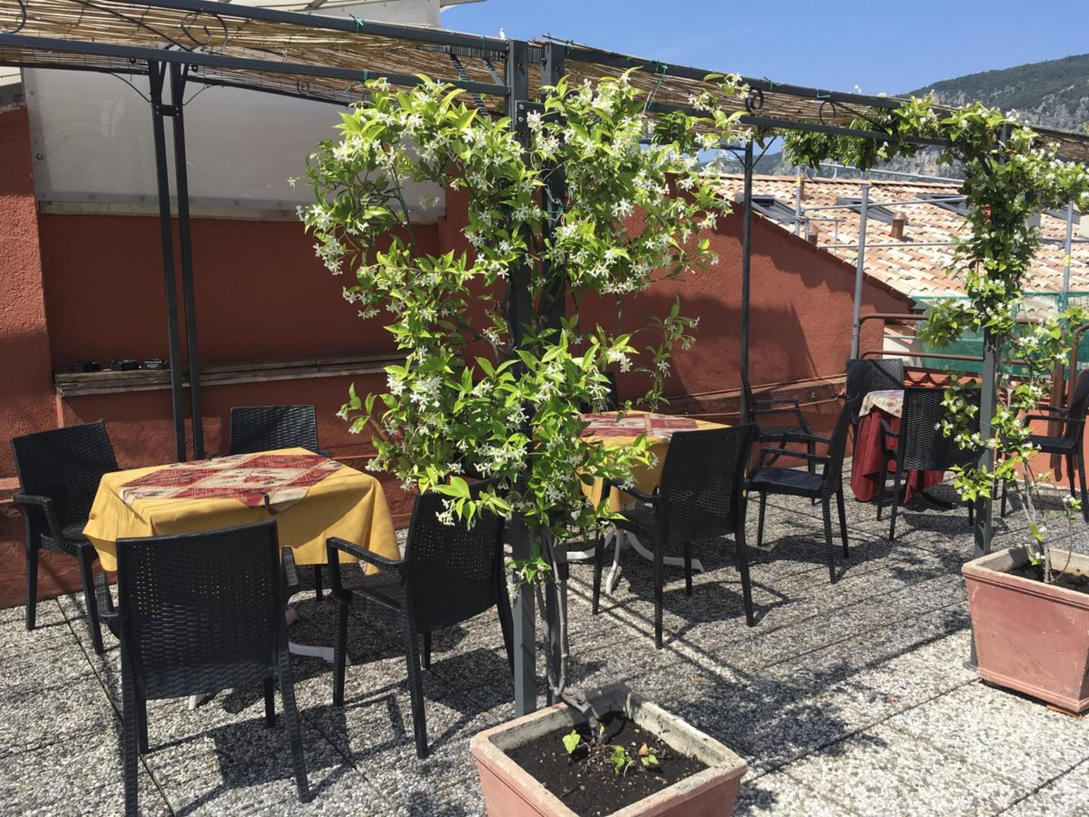 Una veranda esterna con tavoli e sedie, un pergolato e piante in vaso.
