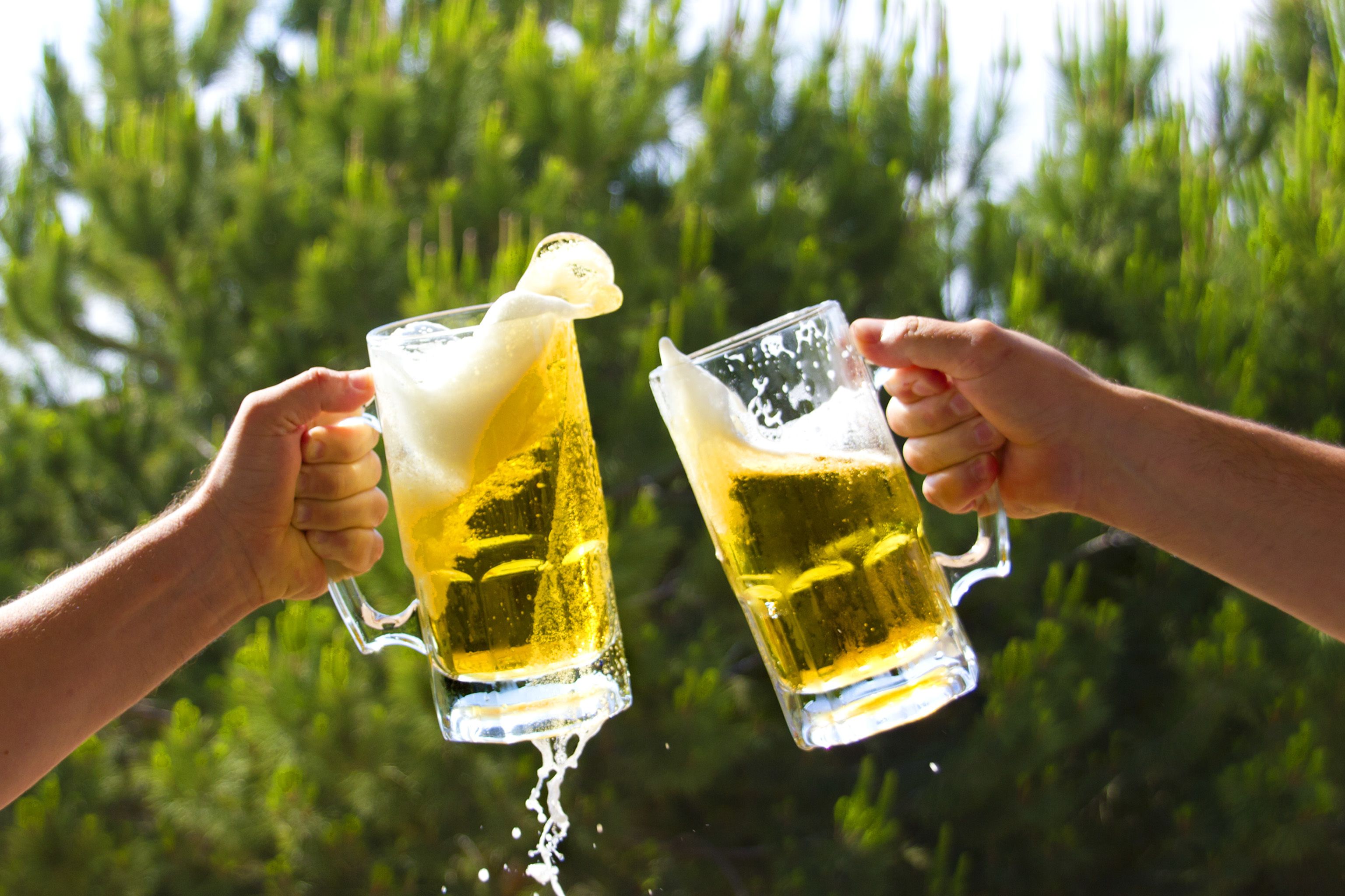 Two hands holding beer mugs with foam, set against a blurred green background.