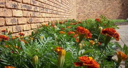 Franchise Sister Guest House