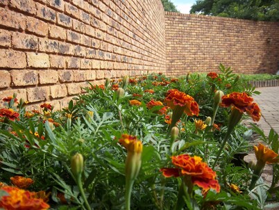 Franchise Sister Guest House