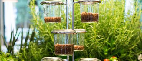 A display of glass jars with brown contents, arranged on a metal stand, set against a backdrop of green plants and a sign reading "Nature's Table".