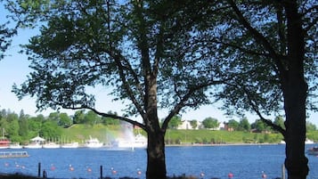 A waterfront view with trees, a dock, and boats.