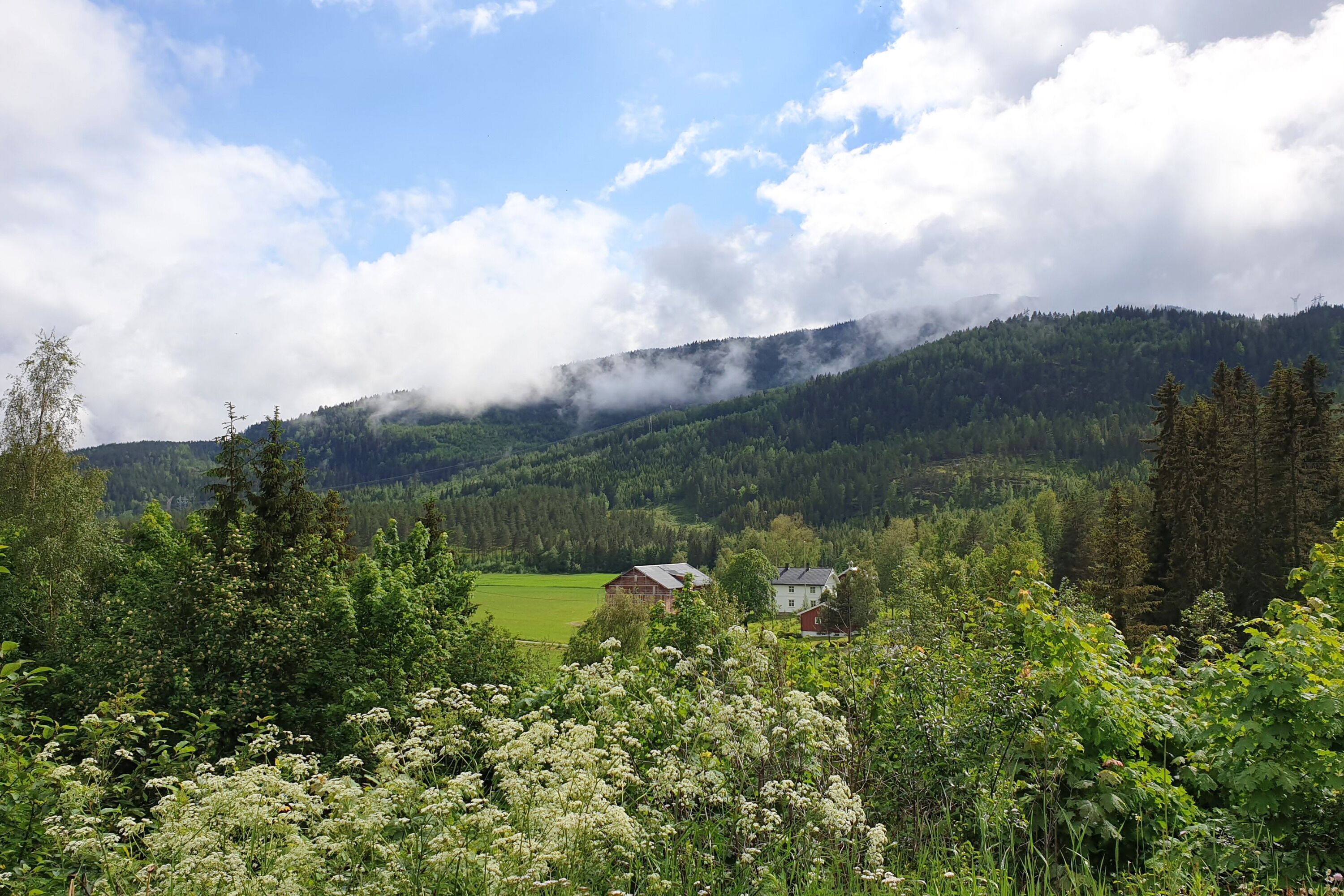 A rural landscape with a house surrounded by greenery and mountains in the background.