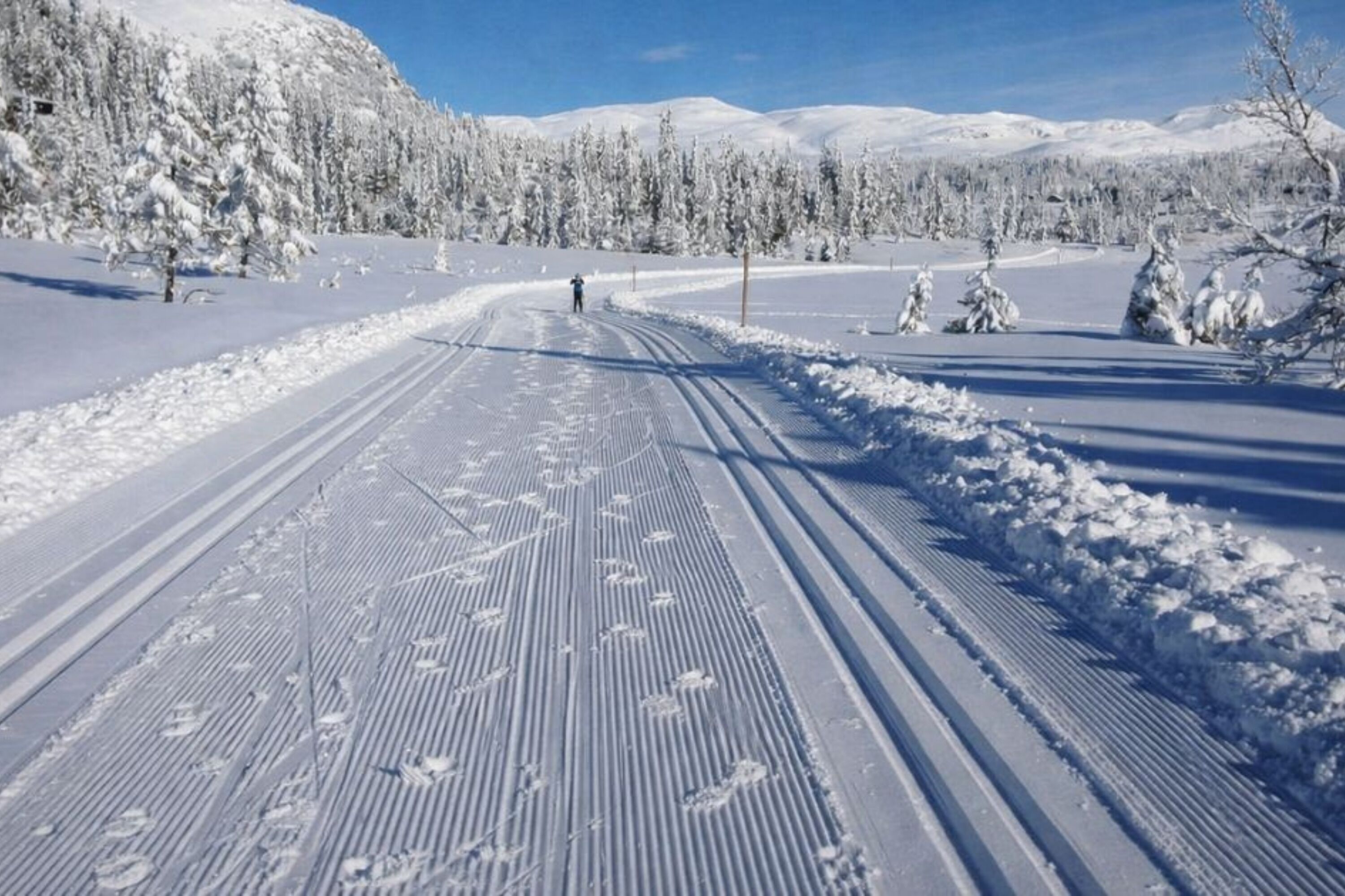 A snowy landscape with a clear sky, a person skiing, and snow-covered trees.