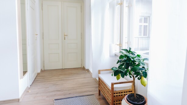 A hallway with a white door, a potted plant, and a bench. - CHILL Apartments (Prague)