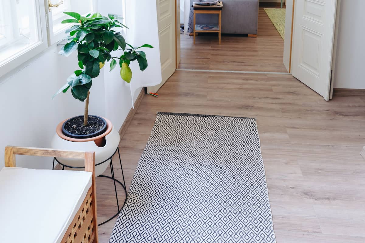 A bright room with a wooden floor, a patterned rug, a table with a plant, and a sofa in the background.