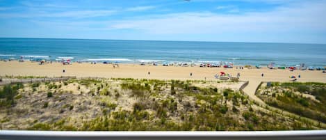 Condo, 1 habitación | Playa | En la playa